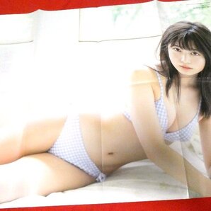 吉田莉桜 2019ヤングガンガン付録ポスター