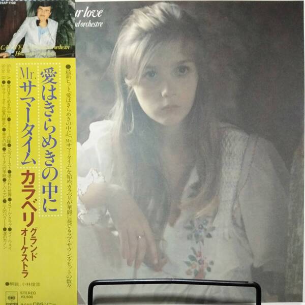 レコード CARAVELLI Et Son Grand Orchestre HOW DEEP IS YOUR LOVE カラベリ・グランド・オーケストラ 25AP 1102