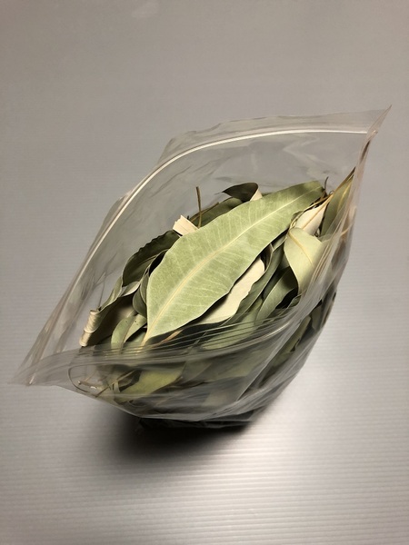ルディス ユーカリ ヨロイモグラゴキブリのえさ 80g 無農薬