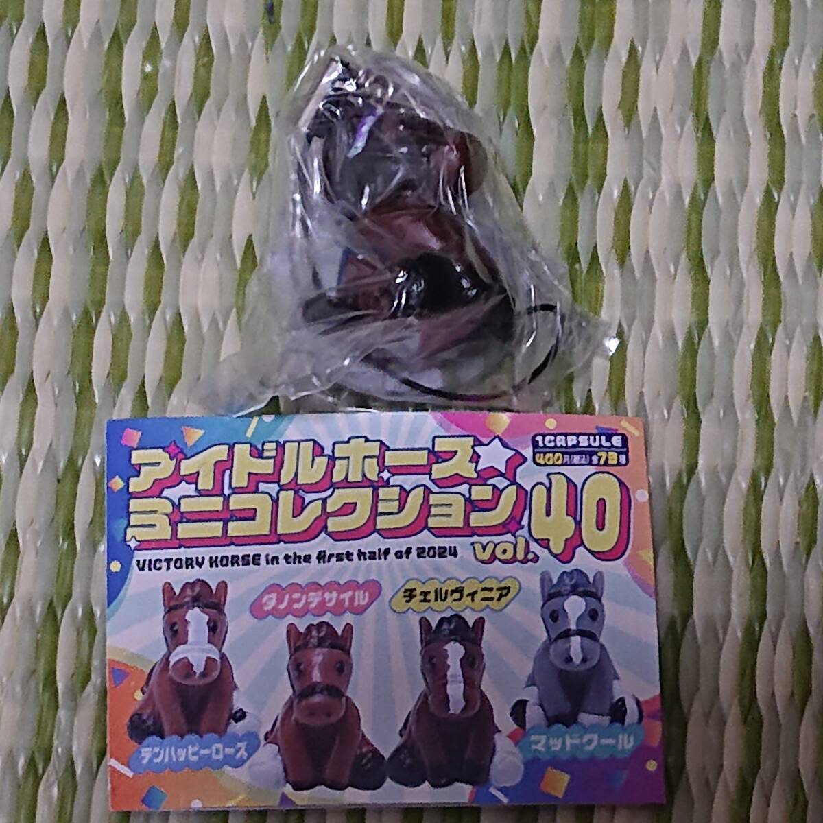 アイドルホースぬいぐるみ 16世代(執筆中)｜デカル(ΦωΦ＊)の
