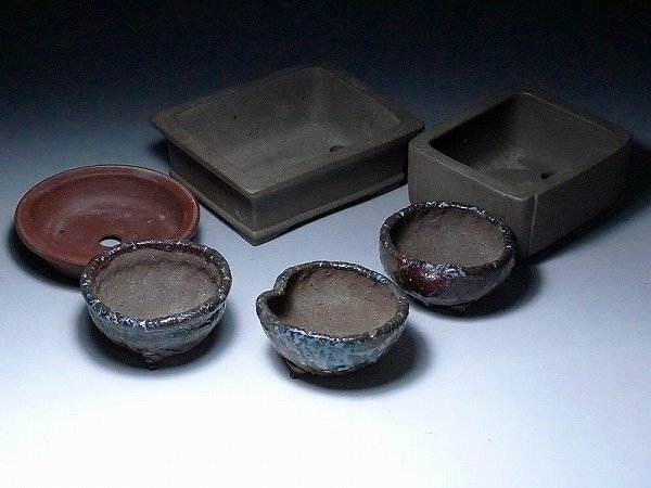 464 盆栽 盆栽鉢 植木鉢 和鉢 山秋 Yahoo!オークション -「盆栽鉢 山秋」(花、園芸) の落札相場