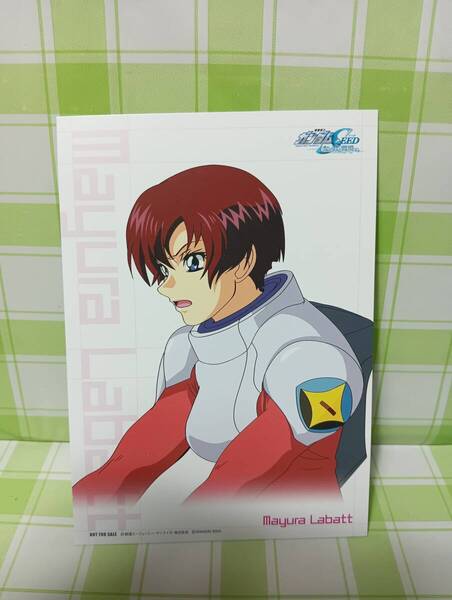 BANDAI GBA 機動戦士ガンダムSEED 友と君と戦場で。 フォトカード マユラ・ラバッツ 予約特典 非売品 特典のみ ブロマイド アストレイ娘