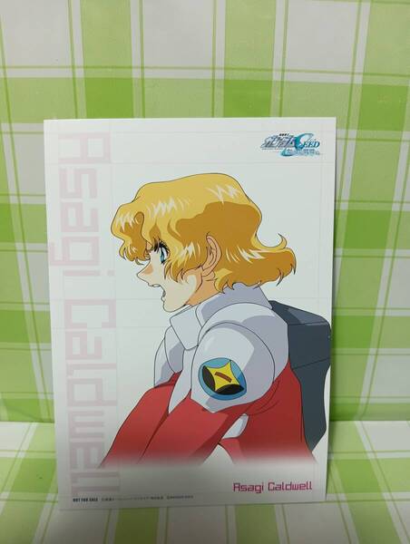 BANDAI GBA 機動戦士ガンダムSEED 友と君と戦場で。フォトカード アサギ・コードウェル 予約特典 非売品 特典のみ ブロマイド アストレイ娘