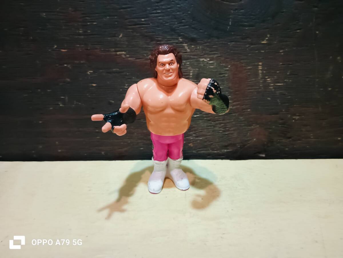 プロレス フィギュア WWF ブルータス・ビーフケーキ ハスブロ