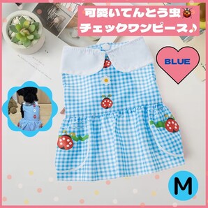 犬 服 ワンピース 夏う チェック てんとう虫 薄手 ブルー 小型犬 M