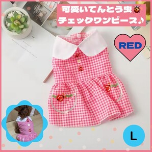 犬 服 ワンピース 夏う チェック てんとう虫 薄手 レッド 小型犬 L