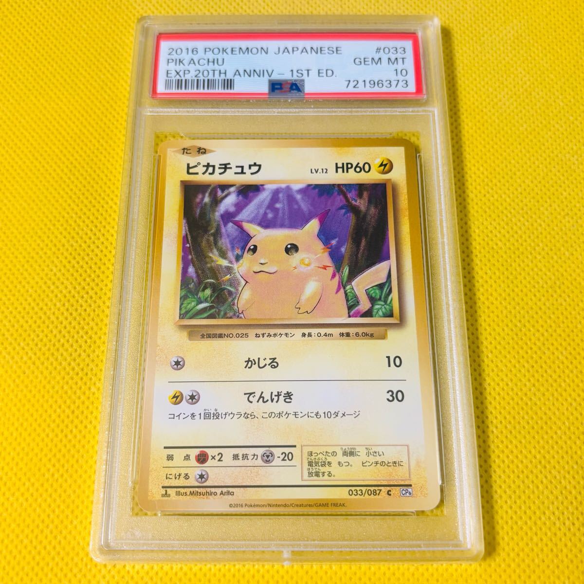 2025年最新】Yahoo!オークション -ポケモンカード cp6