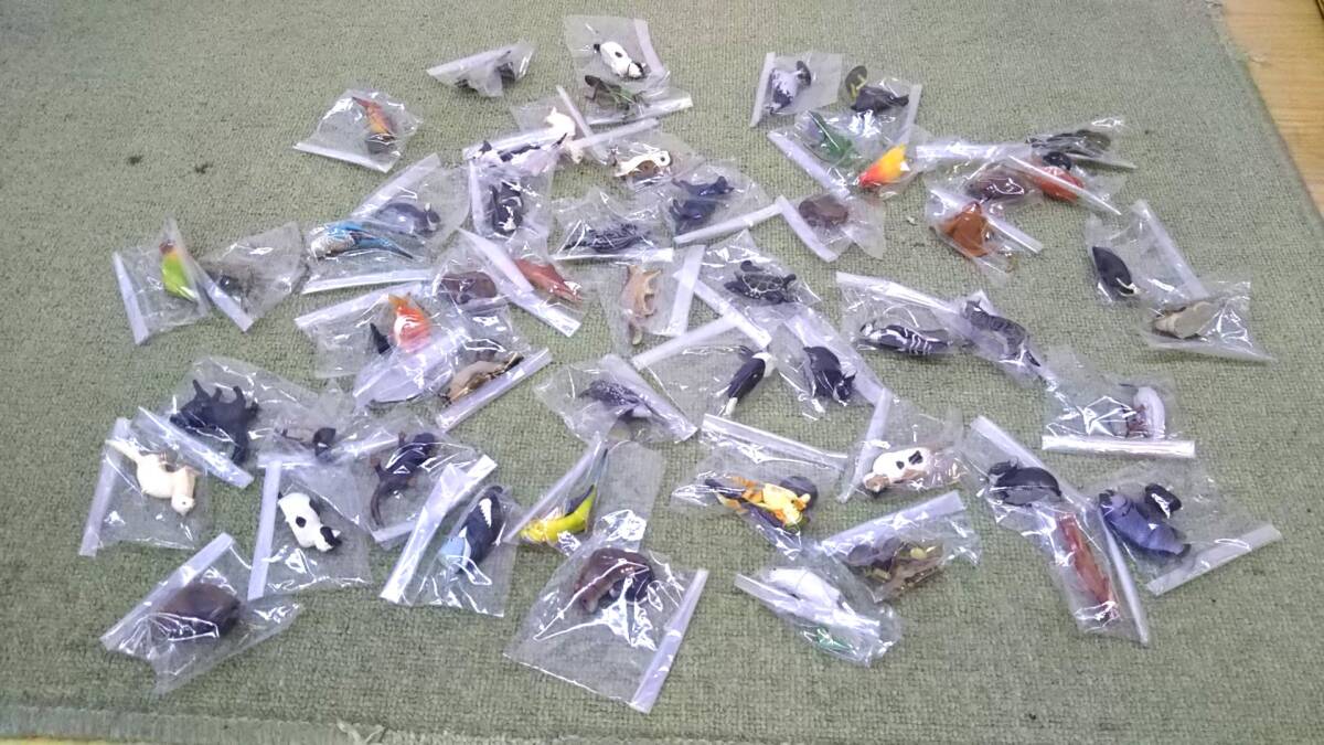 チョコエッグフィギュアまとめ売り（180体） チョコエッグフィギュアまとめ売り（180体） - メルカリ