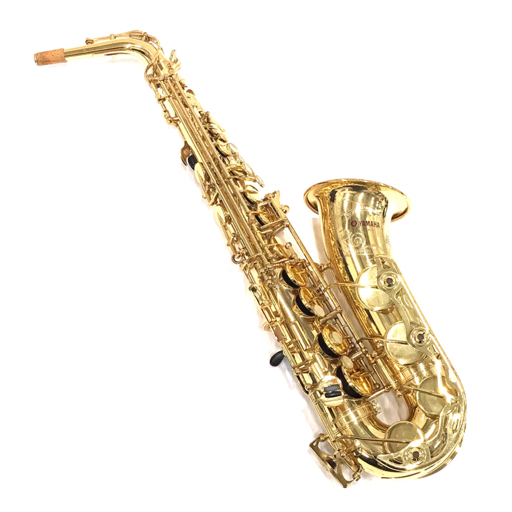 Yahoo!オークション -「selmer アルトサックス ケース」の落札