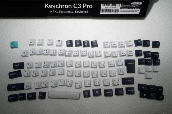Keychron キーキャップセット OSAキーキャップ JISレイアウト用 MXスタイルスイッチ ダブルショットPBT