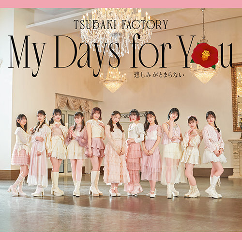つばきファクトリー 通常盤 ABセット CD シングル My Days for You 悲しみがとまらない 未開封