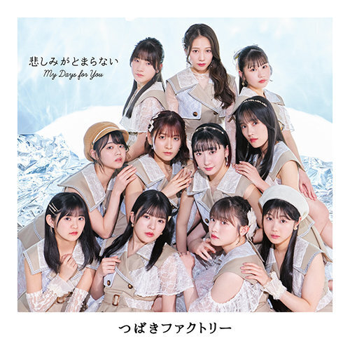 つばきファクトリー 初回盤B 通常版AB CD シングル My Days for You 悲しみがとまらない 未開封