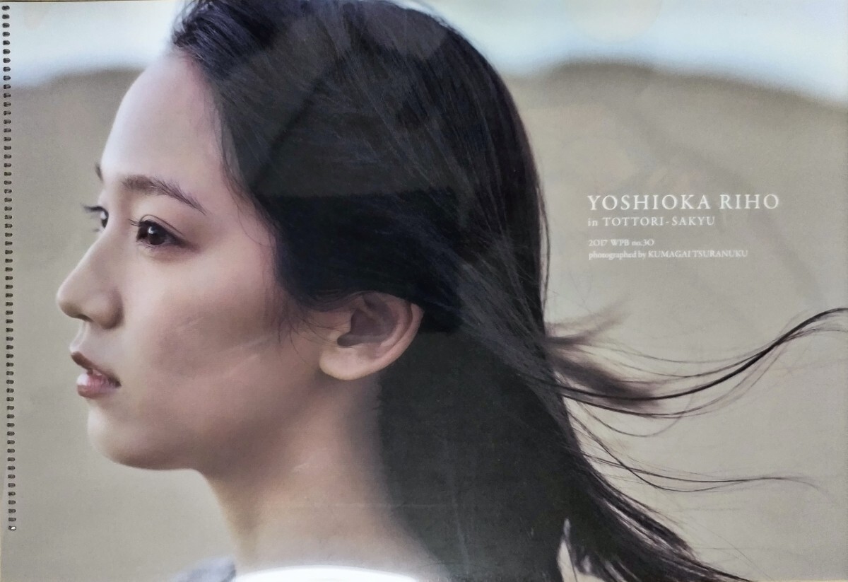 2025年最新】Yahoo!オークション -吉岡里帆 プレイボーイの中古