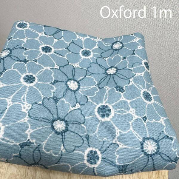 レース風刺繍風プリントのアネモネ花柄★綿オックス生地はぎれ布1mブルー