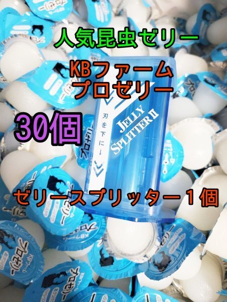 人気昆虫ゼリー KBファーム プロゼリー16g 30個 ゼリースプリッター1個 カブトムシ クワガタ ハムスター フクロモモンガ オオクワガタ