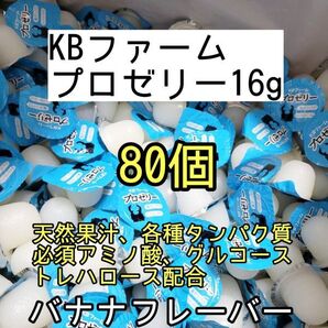 人気昆虫ゼリー KBファーム プロゼリー16g 80個カブトムシ クワガタ ハムスター フクロモモンガ ハリネズミ オオクワガタ デュビア