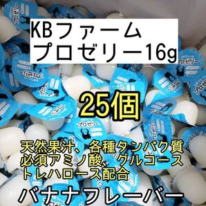 人気昆虫ゼリー KBファーム プロゼリー16g 25個カブトムシ クワガタ ハムスター フクロモモンガ ハリネズミ オオクワガタ デュビア