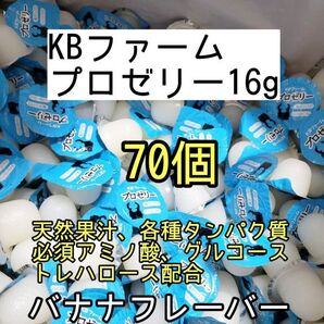 人気昆虫ゼリー KBファーム プロゼリー16g 70個カブトムシ クワガタ ハムスター フクロモモンガ ハリネズミ オオクワガタ デュビア