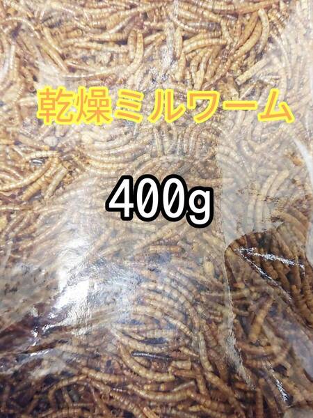 乾燥ミルワーム400g ハムスター フクロモモンガ ハリネズミ 小動物 爬虫類 鳥 トカゲ カエル ドライミルワーム