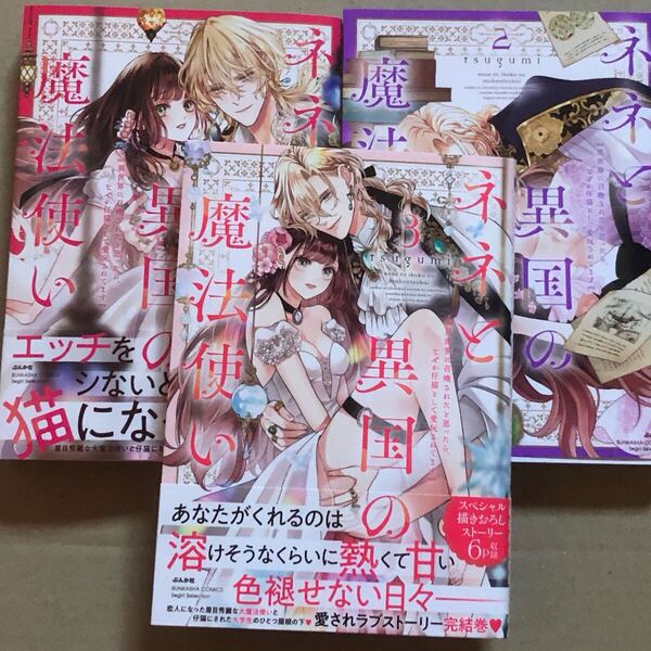 ネネと異国の魔法使い 全3巻 TLコミック