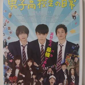 男子高校生の日常 DVD/菅田将暉 野村周平 吉沢亮 岡本杏理 山本美月 太賀 角田晃広 東迎昂史郎 栗原類 上間美緒 山谷花純 高月彩良 小池唯