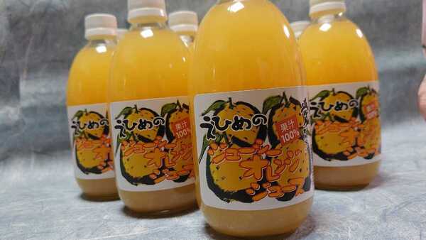 地元で人気のみかんジュースシリーズ!!愛媛県産河内晩柑(和製グレープフルーツ)500㎜×12本入り。少量希少価値あり。
