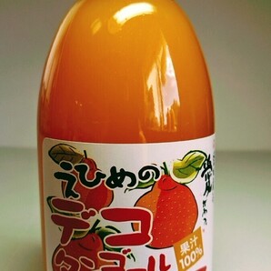 !愛媛県産果汁100%デコタンゴール(しらぬい)ジュース500ml×12本