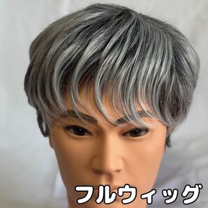 メンズ 白髪 ウィッグ 男性用かつら フルウィッグ ショート 調整ベルト 自然 マナー 冠婚葬祭 ビジネス 旅行