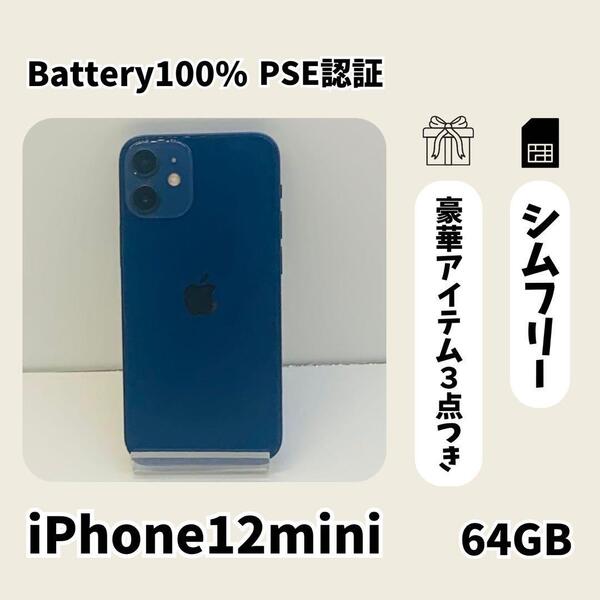 特価 iPhone 12 mini 64GB ブルー SIMフリー 本体 大人気 高品質 動作確認済み 169