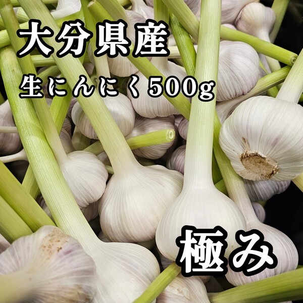 南国 生 にんにく バラ ニンニク 不揃い