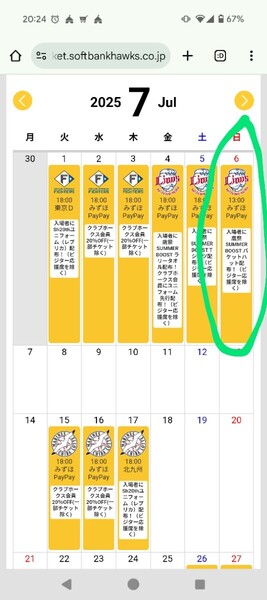 7月6日(日)ソフトバンクホークスVS西武ライオンズ 1塁側S席ペア