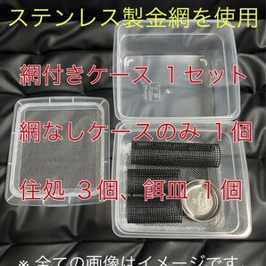 ステンレス金網使用 デュビア コオロギ レッドローチ 飼育ケース 飼育ケージ 小
