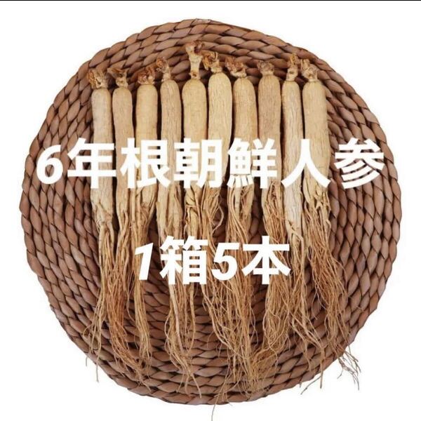 6年根乾燥朝鮮人参 1箱5本50g以上♪ 野生環境黒土露地栽培 白参 高麗人参 朝鮮人参酒 漢方薬膳