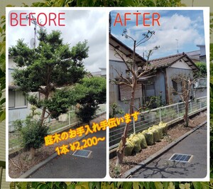 Уход за садом, помощь в обрезке, удаление веток, стрижка сорняков, косьба, расчистка кустарника! Из города Мито, префектура Ибараки