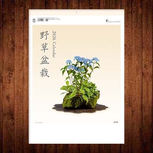 ■2026カレンダー■野草盆栽■TD-819■