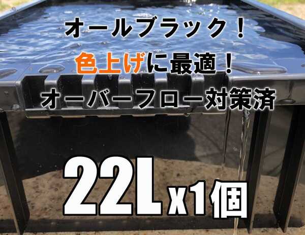【台風も夕立も安心!】スマートバルブでオーバーフロー対策済み飼育容器NV-BOX22L 1個