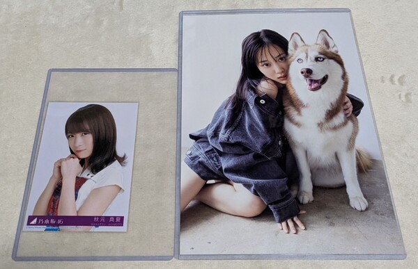 【乃木坂46山下美月】2nd写真集「ヒロイン」封入ポストカード犬&【乃木坂46秋元真夏】生写真セット