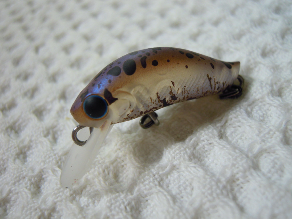 M*I様 ローカル　チキンレーサー M*I様 ローカル チキンレーサー