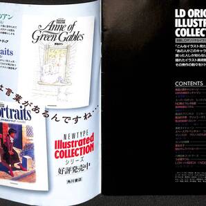 全話LDオリジナルイラストコレクション Newtype 1992年9月号付録