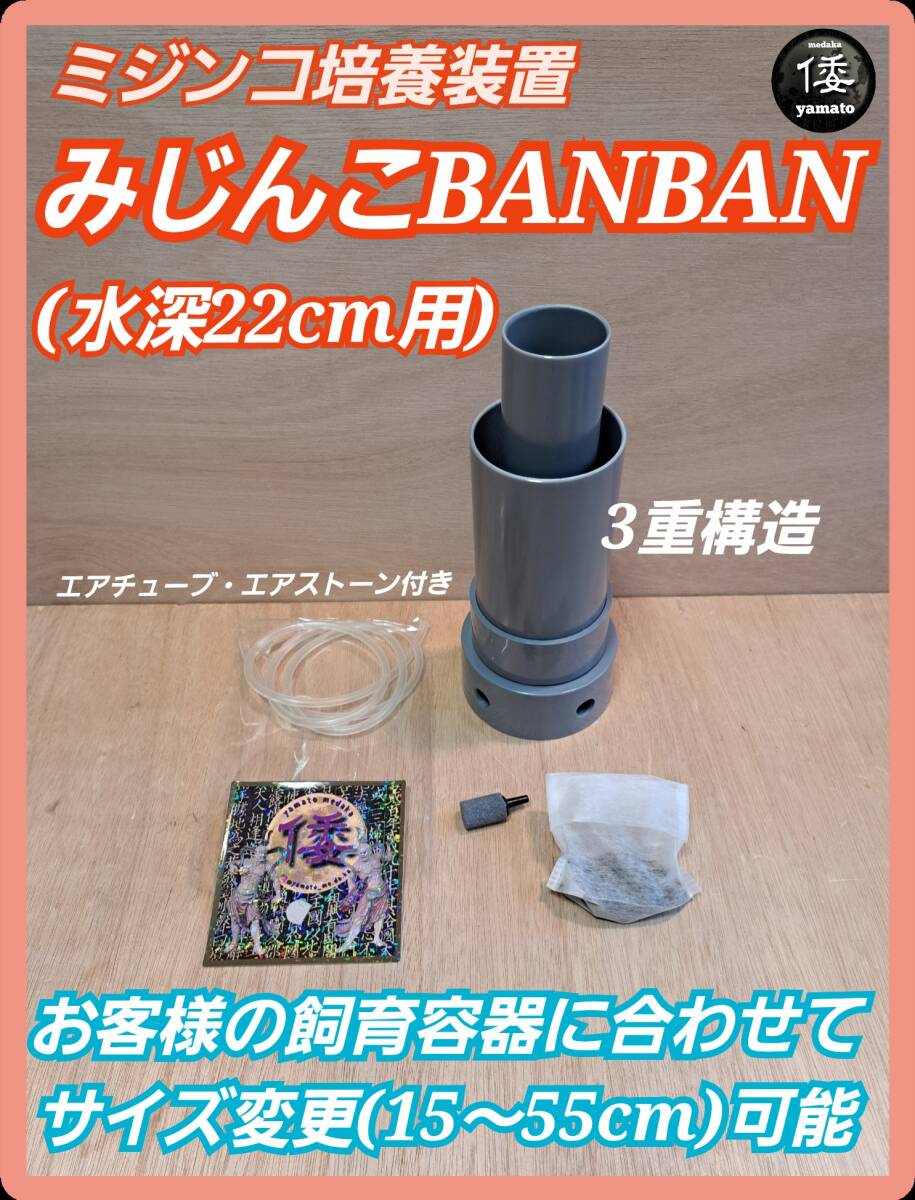 倭めだか】 “ミジンコ 培養 装置 4点セット（NV13）” 排水コック