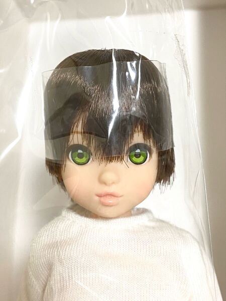petworks ペットワークス ぼくの妹 ruruko boy