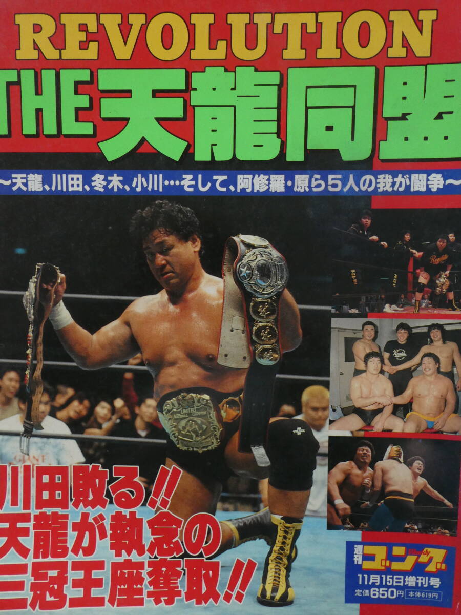 Amazon.co.jp: 全日本プロレス 2004新春シリーズ PART.1 [DVD