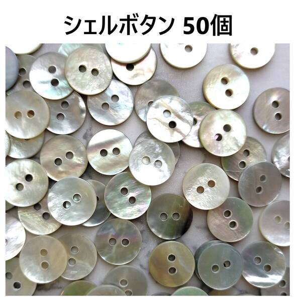 シェルボタン 11.5mm 50個 貝ボタン 2つ穴 天然 約12mm 11mm