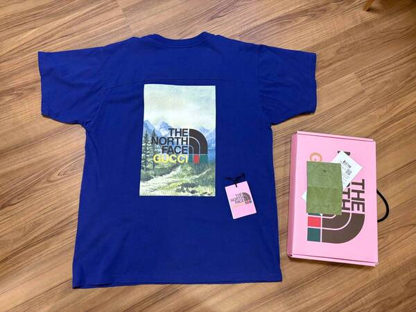 GUCCI x THE NORTH FACE ビッグプリント ロゴ Tシャツ L 伊勢丹購入証明有り(ノースフェイスグッチ