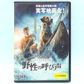 野性の呼び声 レンタル版 DVD クリス・サンダース ハリソン・フォード オマール・シー ダン・スティーヴン スカレン・ギラン