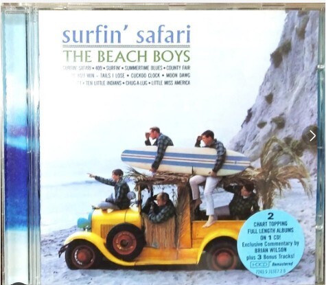 ザ・ビーチ・ボーイズ Surfin' Safari / Surfin' U.S.A. The Beach Boys CD iyasaka