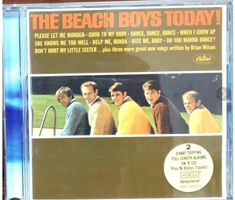 ビーチボーイズ The Beach Boys Today! Summer Days サマーデイズ CD iyasaka