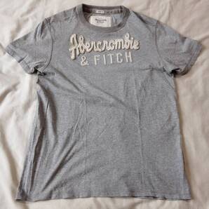 アバクロンビー&フィッチAbercrombie&Fitch TシャツXL