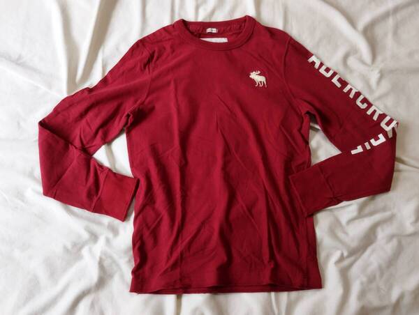 Abercrombie&Fitch アバクロンビーアンドフィッチ ロンT M
