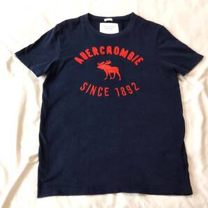 アバクロンビー&フィッチAbercrombie&Fitch TシャツXL